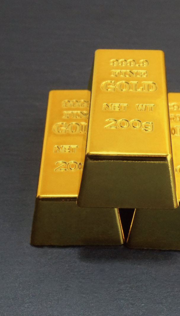 料理を作っている熟年夫婦